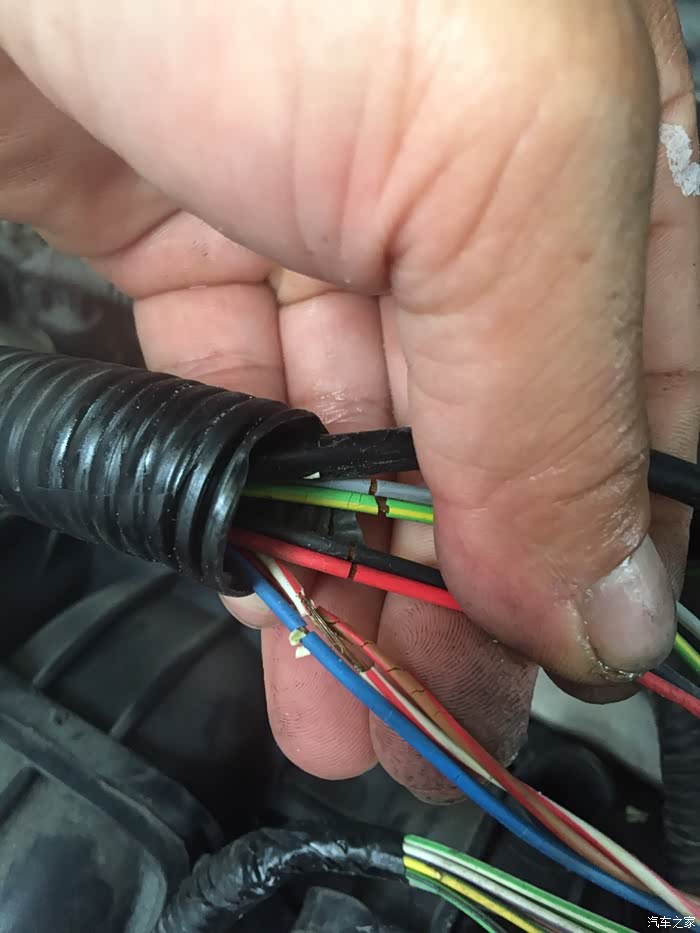 【图】07款福克斯线束老化_福克斯论坛_汽车之家论坛