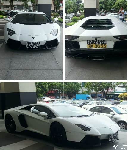 湛江实拍港牌大牛