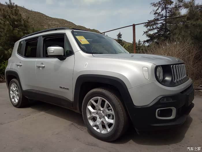 自由侠没银色吗?怎么感觉好少见