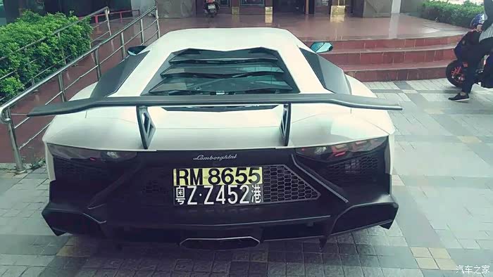 湛江实拍港牌大牛