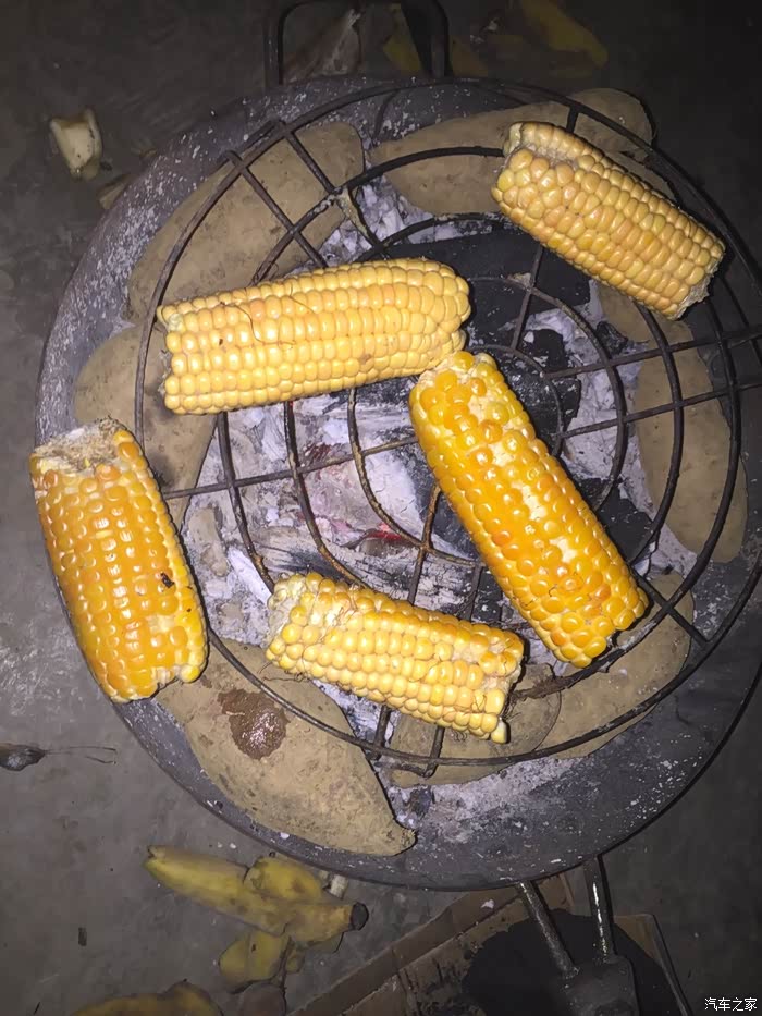 无米下锅的日子,求包养!