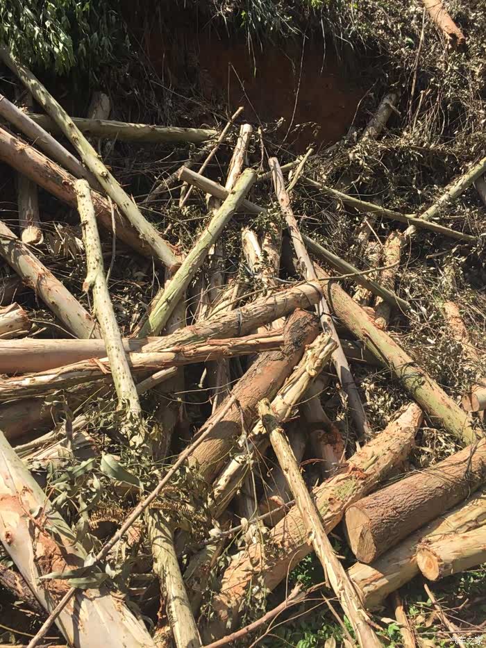 山上到处都乱七糟木材