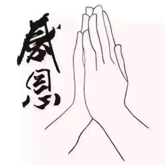 迟到的感恩贴2015年11月26日