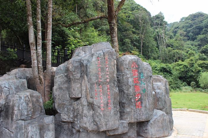 自由呼吸,崇義陽嶺休閒洗肺記.