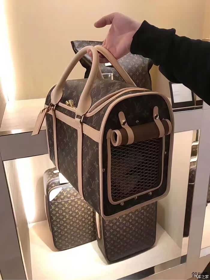 lv宠物包～活的不如一条狗