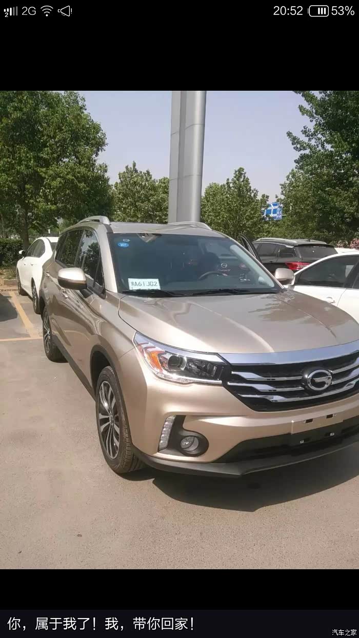 琥珀金实车图片