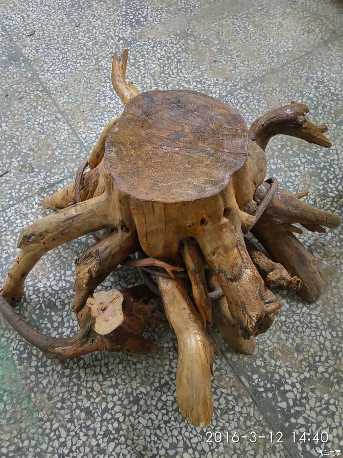 周末休闲品茗赏天然树根艺术品