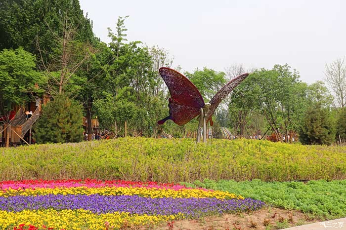 北京劲悦团车友会悦翔v7蝴蝶园看蝴蝶