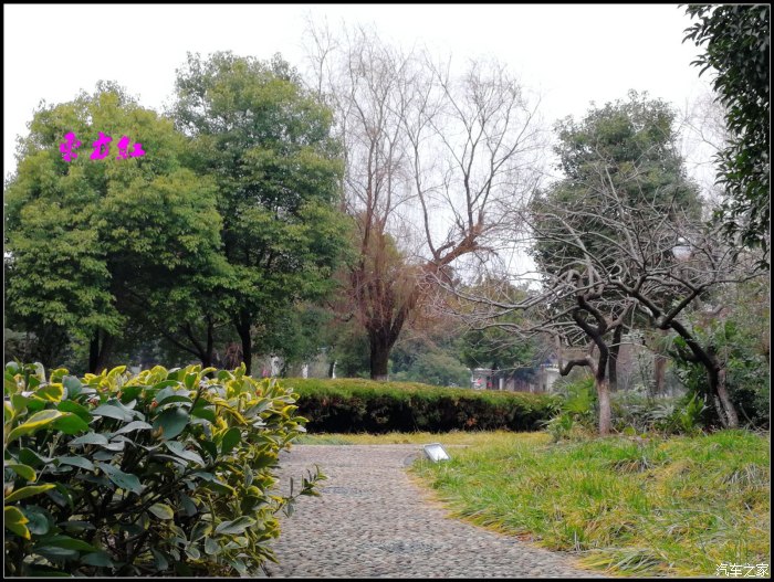 西塘广惠公园图片