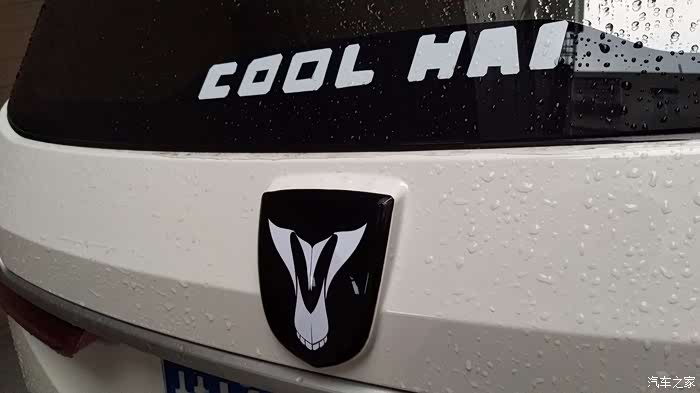 纯diy车标印第安风格