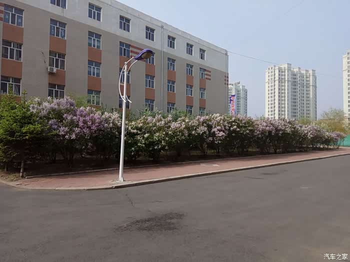 哈尔滨cs35车友会春花烂漫时的哈职院