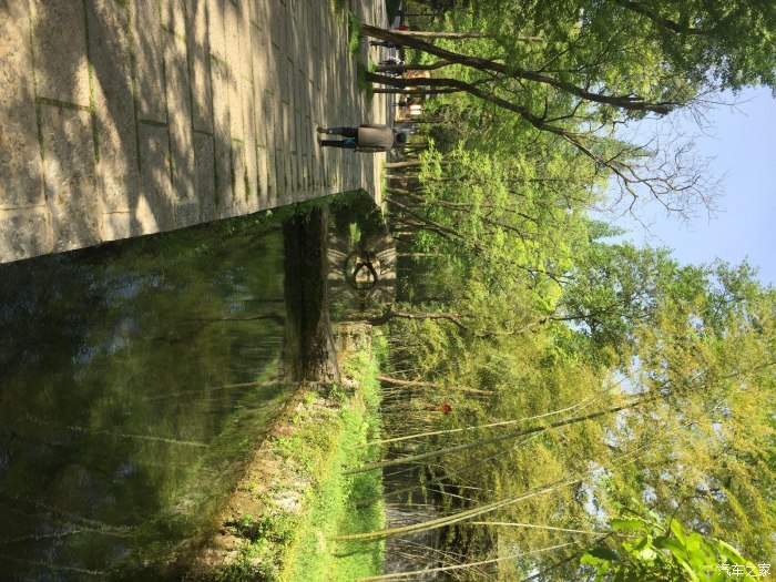 路旁溪水清澈見底,溪還有橋,橋竟然有顆橫臥樹,宛若也要給人搭橋.