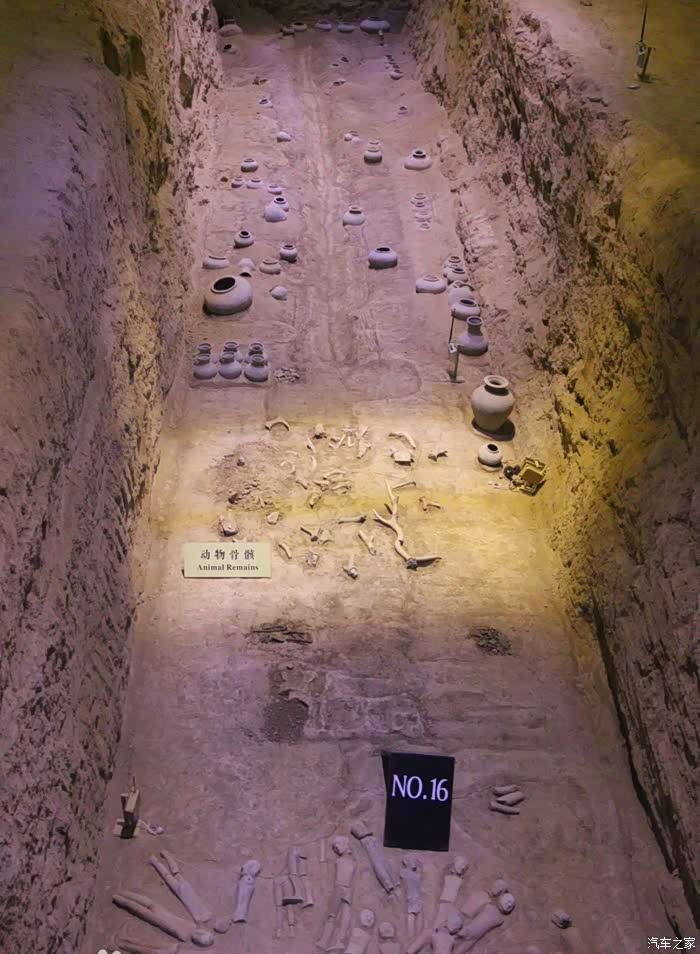 帝国盛世赞文景 天汉神韵耀中华--春游汉阳陵考古陈列馆