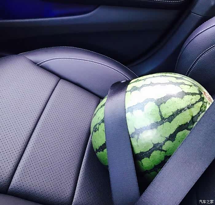 自娱自乐.因为这个西瓜真的太大 他会晃,我会慌.