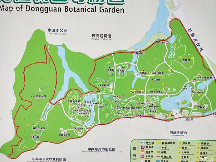 东莞植物园路线图图片