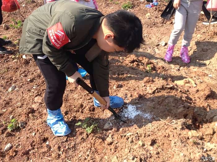 种下一个春天期待一片蓝天铁粉们我们逸起去植树