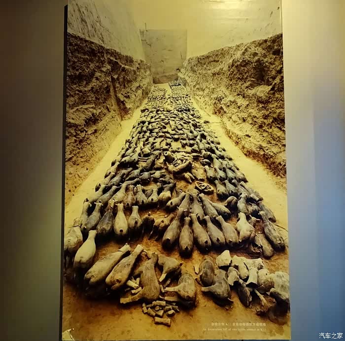 帝国大治赞文景 天汉神韵耀神州--春游汉阳陵考古陈列馆