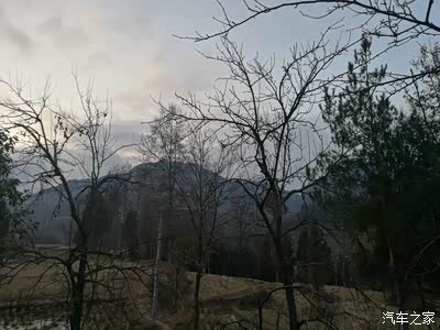 白日不到处 青春恰自来-提小2回家贴