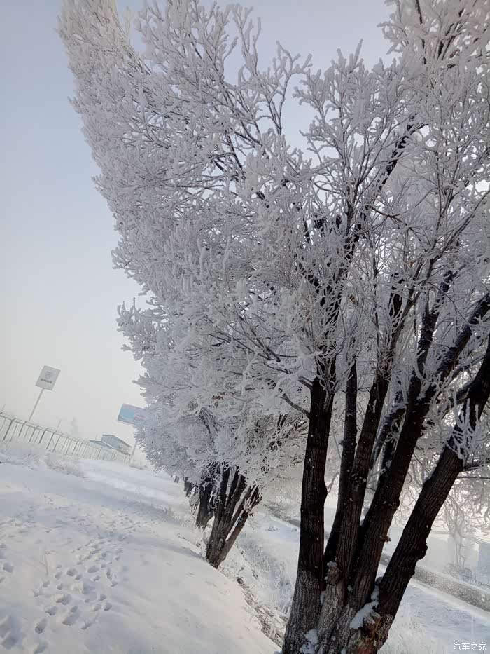 天寒地冻各位老铁注意保暖冷啊
