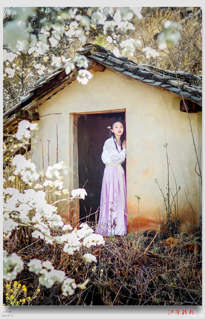 古装梨花春风醉十里不如树下一美女