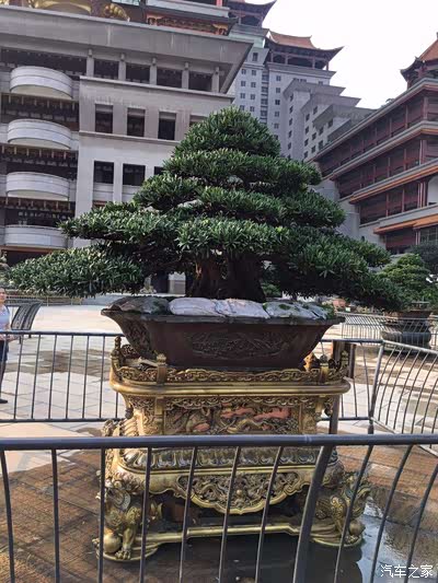 广东茂名至广西玉林的一天游