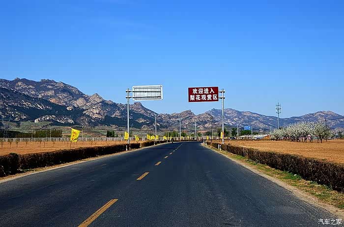 春意盎然五一劳动节5日自驾游之北镇梨花大道