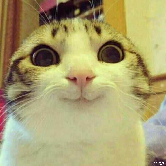 充满电电源也不断开对电池有影响吗