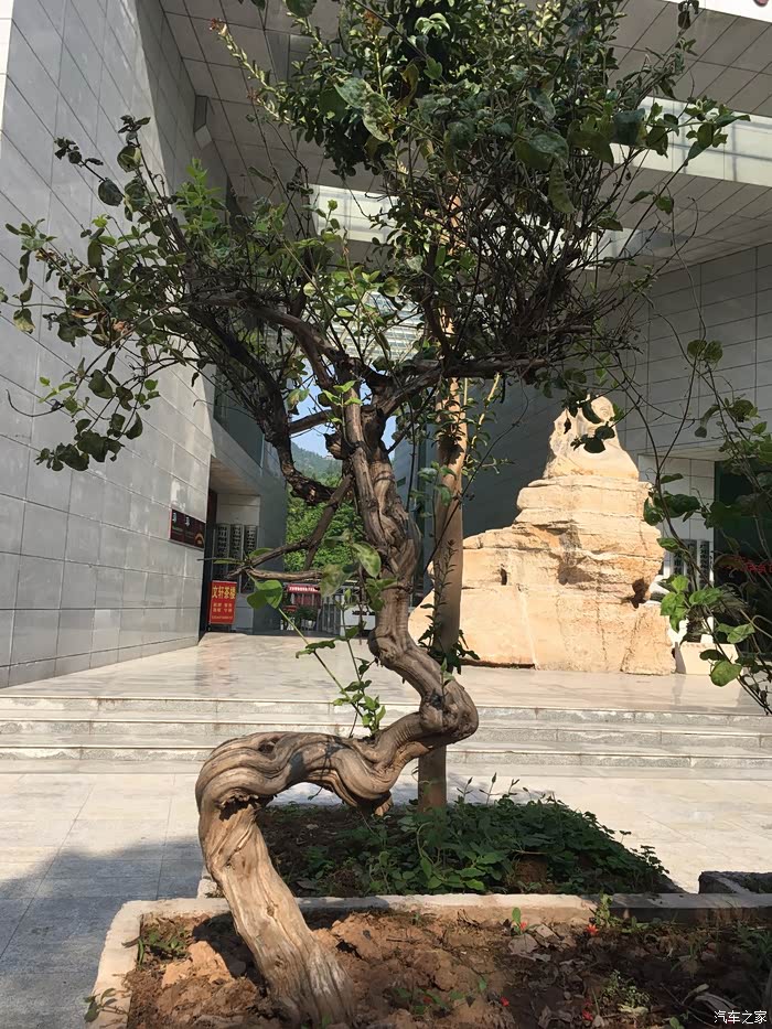 集传统美学与现代艺术于一身广元万安博物馆初探1