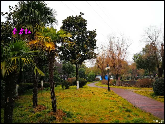 无锡cs75车友会家人相伴闲逛西塘广惠公园