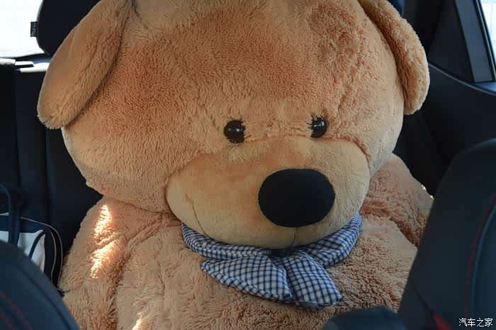 立夏过完补作业s2和暖熊更配