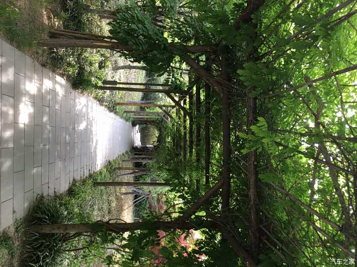 桃花岛游记其五