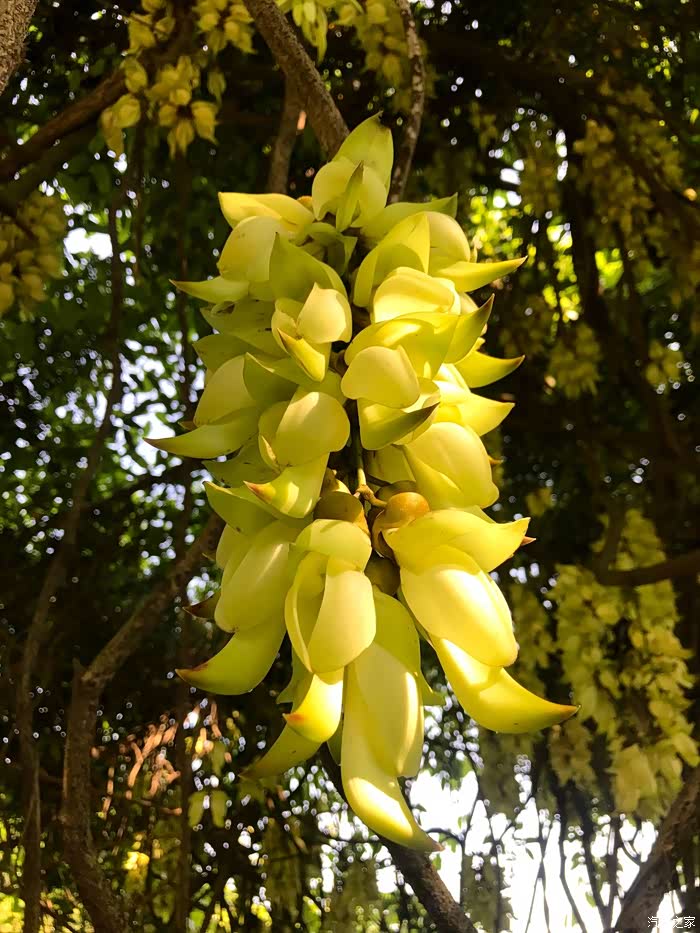 春日徒步梅林水库二线关绿道