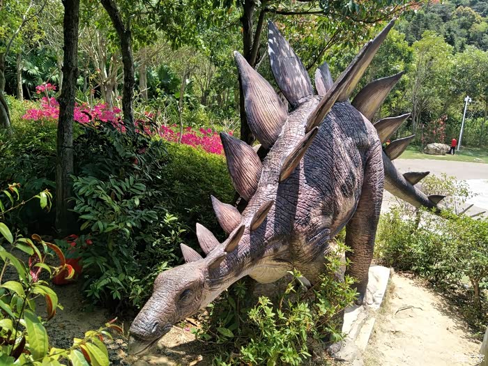 【深圳长安车友会】209一起去深圳地质公园看恐龙