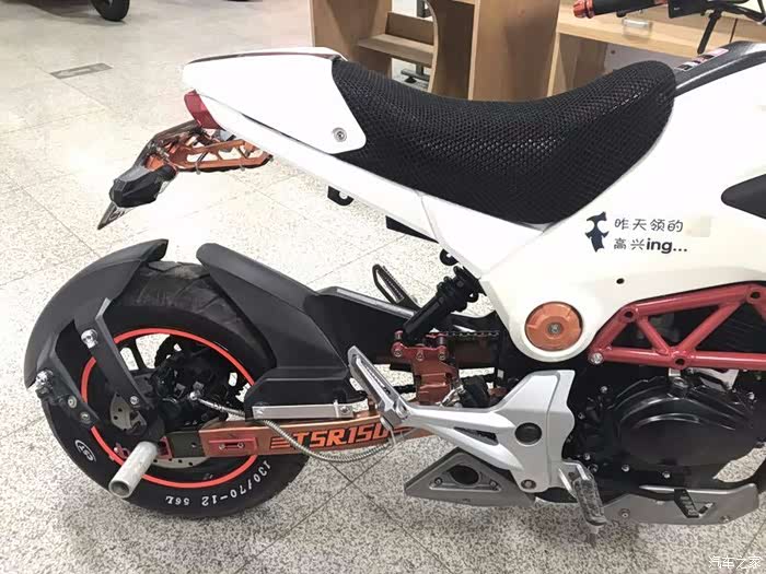 我的爱车望江大公仔15018