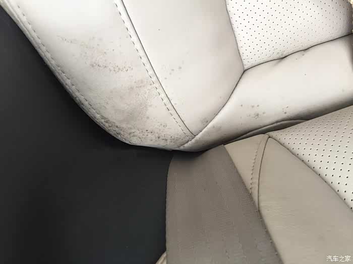 【图】真皮座椅发霉了_英朗论坛_汽车之家论坛