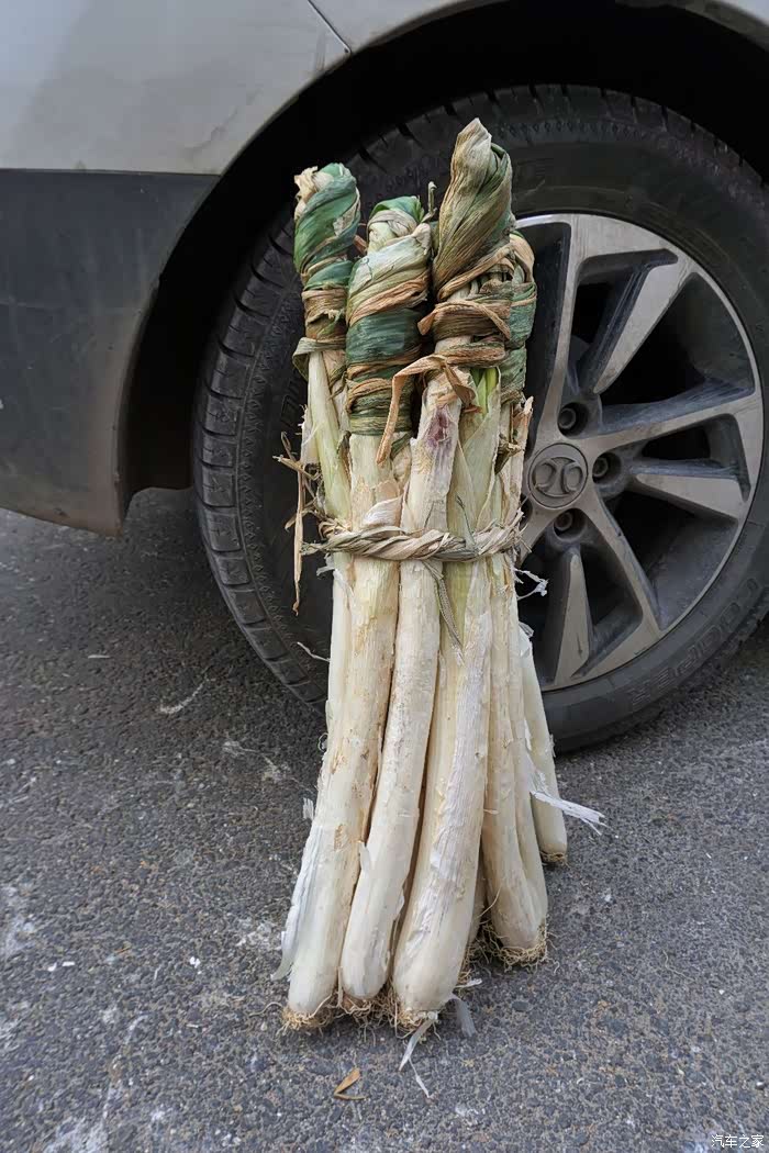 山东大葱元一捆,吃带回家.