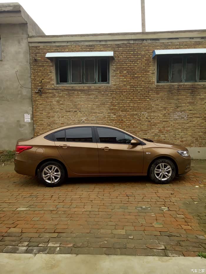 棕色路过 阳光下看 棕色可以