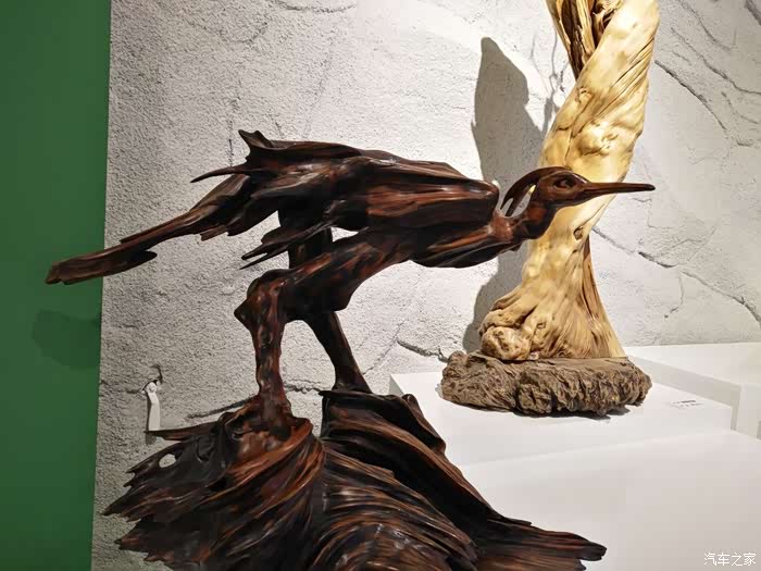 吉林市cs75车友会走进博物馆观赏浪木根雕