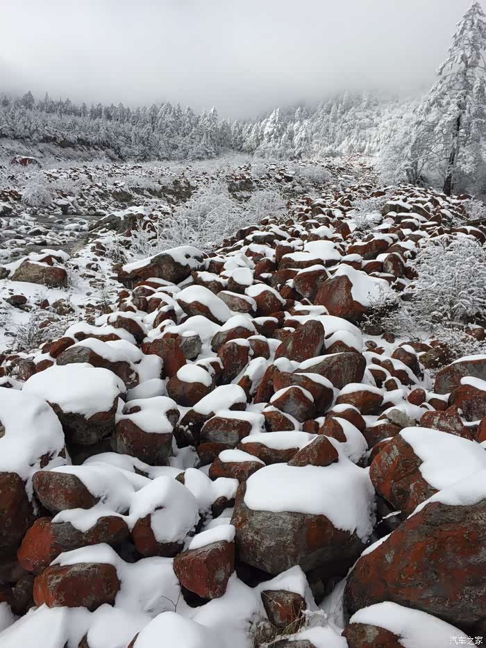 片鲜红的红石阵,此时还有点太阳