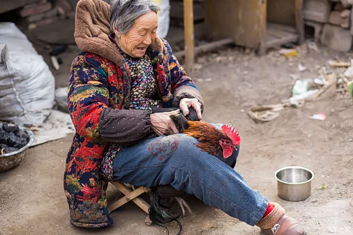 东风风行x5杯 奶奶杀鸡