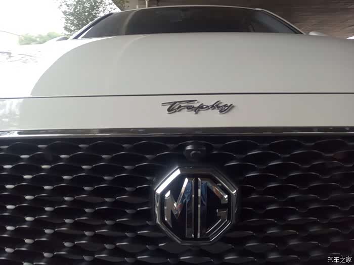 小6准备起航最爱trophy车标