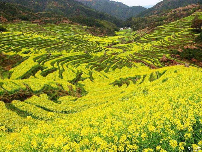 大地万物生机盎然图片图片