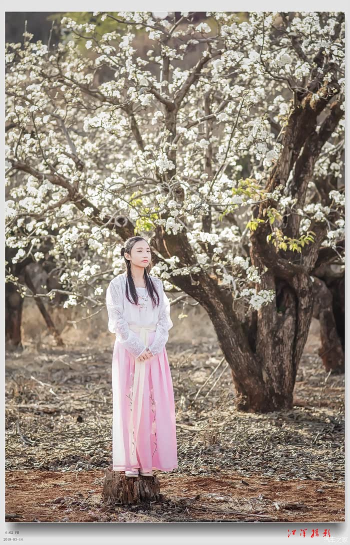古装梨花春风醉十里不如树下一美女