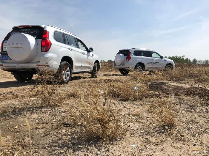 春日暖阳,三五好友,周末小聚,好不恰意。