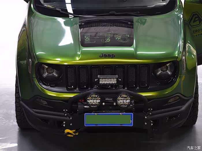 【改装日记】清新野兽派 · 自由侠