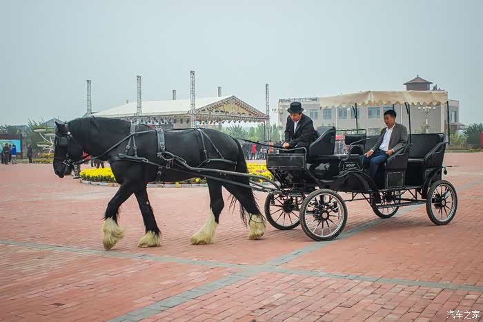 央视一套直播花海世界,景和农场一日游
