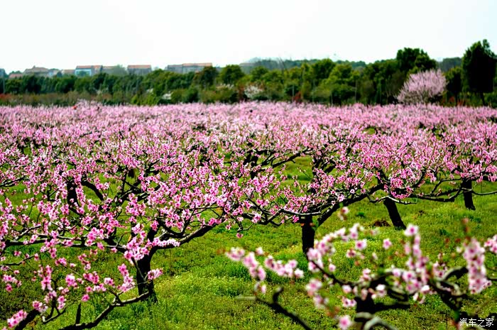 母亲节特辑趁妈妈还能动多带她出去转转吧