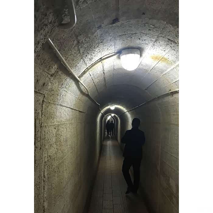 周日闲逛鹅鼻嘴公园江阴