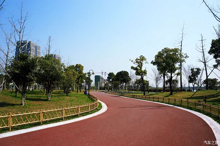 阳光暖暖的香,我与博瑞到公园散步.