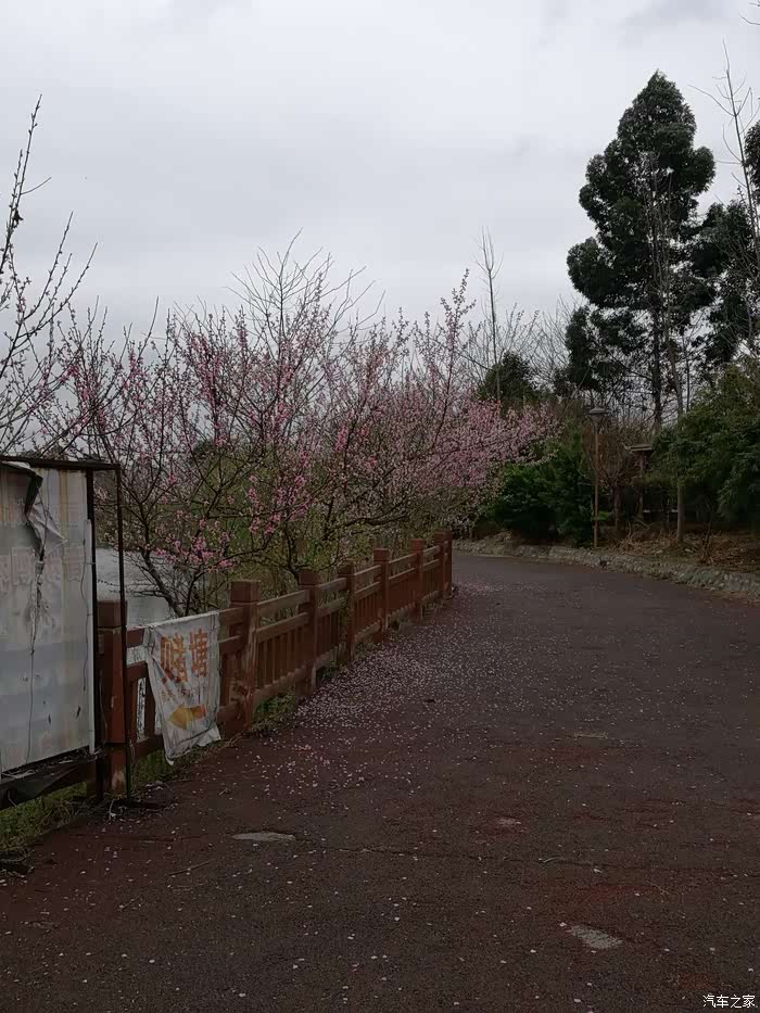 四川cs35车友会德阳露姐开小3逛什邡箭台村